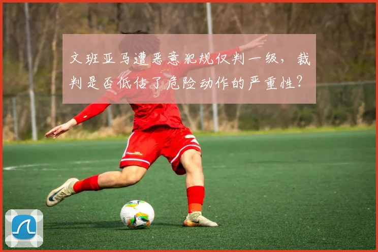 文班亚马遭恶意犯规仅判一级，裁判是否低估了危险动作的严重性？
